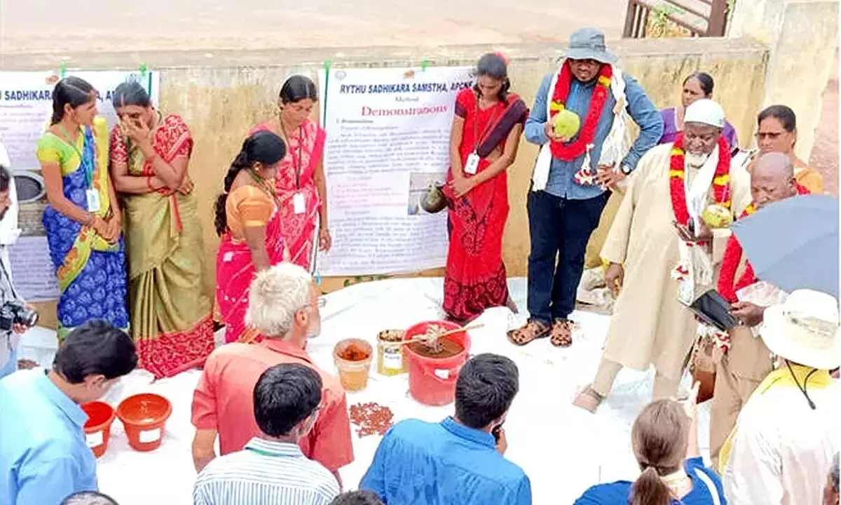 Mali टीम ने YSR जिले में प्राकृतिक खेती के खेतों का दौरा किया