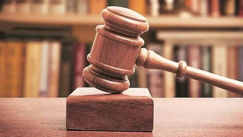 NCLAT ने वाडीलाल फर्मों के बोर्ड पर निर्देश लागू