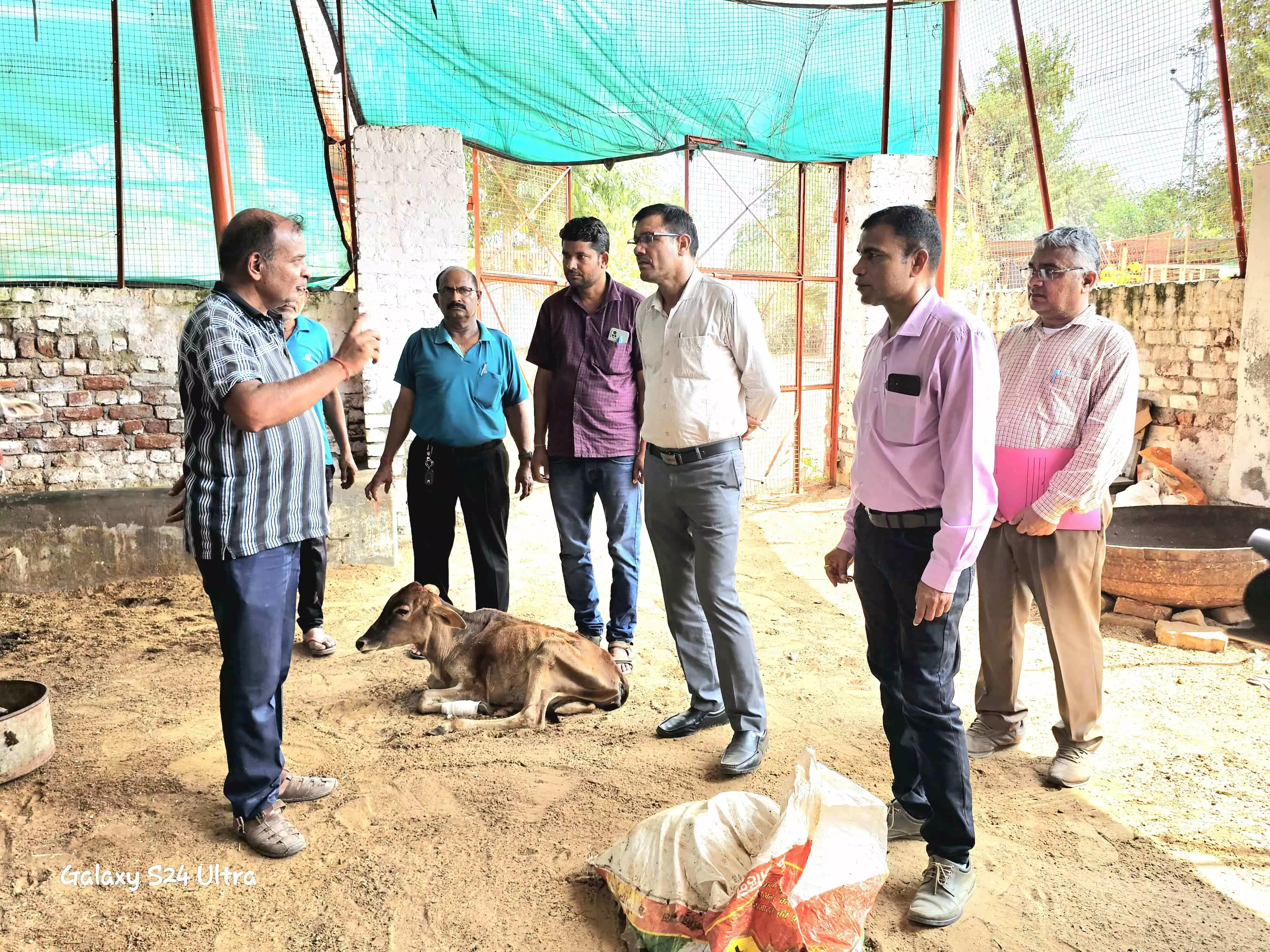 churu: बिजेंद्र सिंह ने गौशालाओं में देखी चारेपानी, साफ-सफाई सहित विभिन्न व्यवस्थाएं