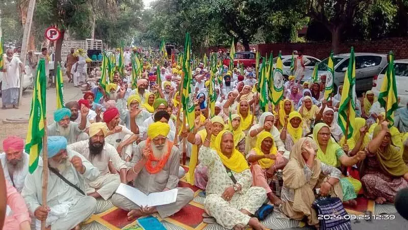 Punjab: पराली जलाने के लिए ‘लाल प्रविष्टियों’ को लेकर किसान-सरकार के बीच टकराव की संभावना