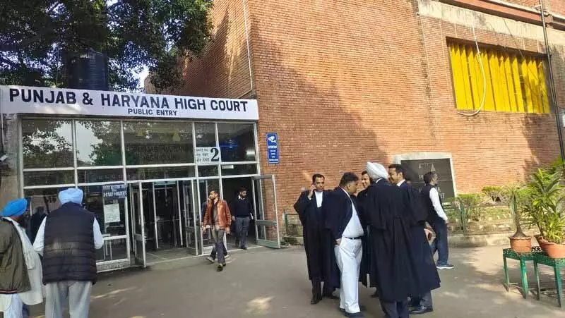 Punjab: 1,091 सहायक प्रोफेसरों और 67 लाइब्रेरियन की भर्ती प्रक्रिया को HC ने बरकरार रखा