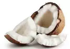 coconut  benefits: रोजाना खाली पेट खाएं 1 टुकड़ा नारियल, मिलेंगे फायदे