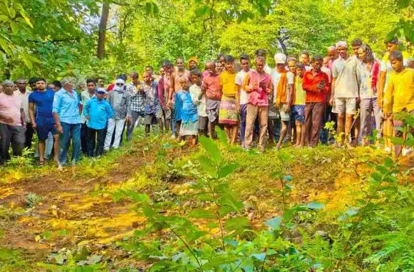 3 हाथियों ने रौंदा, इस हमले में ग्रामीण की मौत