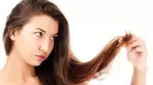 Hair Tips:   बिना बाल काटे भी पा सकते हैं दो मुंहे बालों से छुटकारा