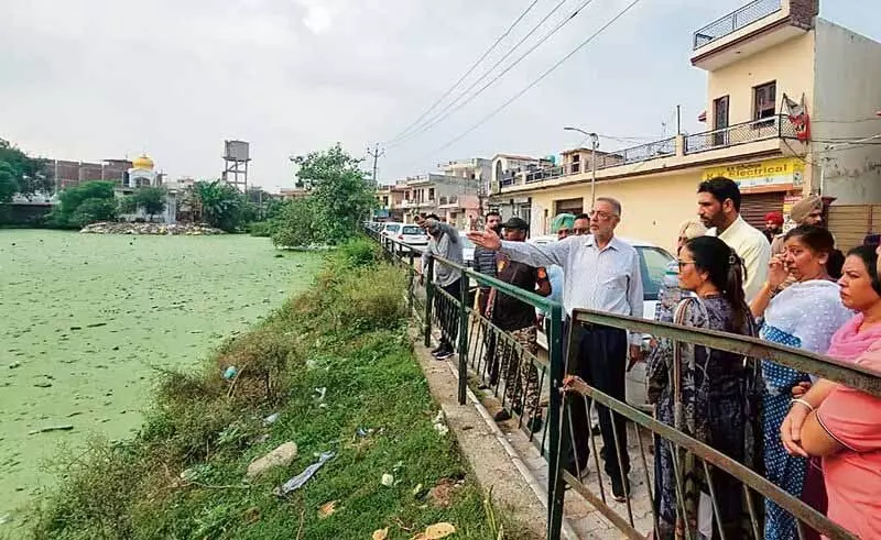 स्वास्थ्य मंत्री ने सोहाना का दौरा किया, school में रैपरों में लार्वा पनपते पाए