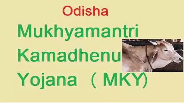 Odisha : आज ओडिशा मंत्रिमंडल ने मुख्यमंत्री कामधेनु योजना को मंजूरी दे दी, 15,47,837 किसानों को मिलेगा लाभ