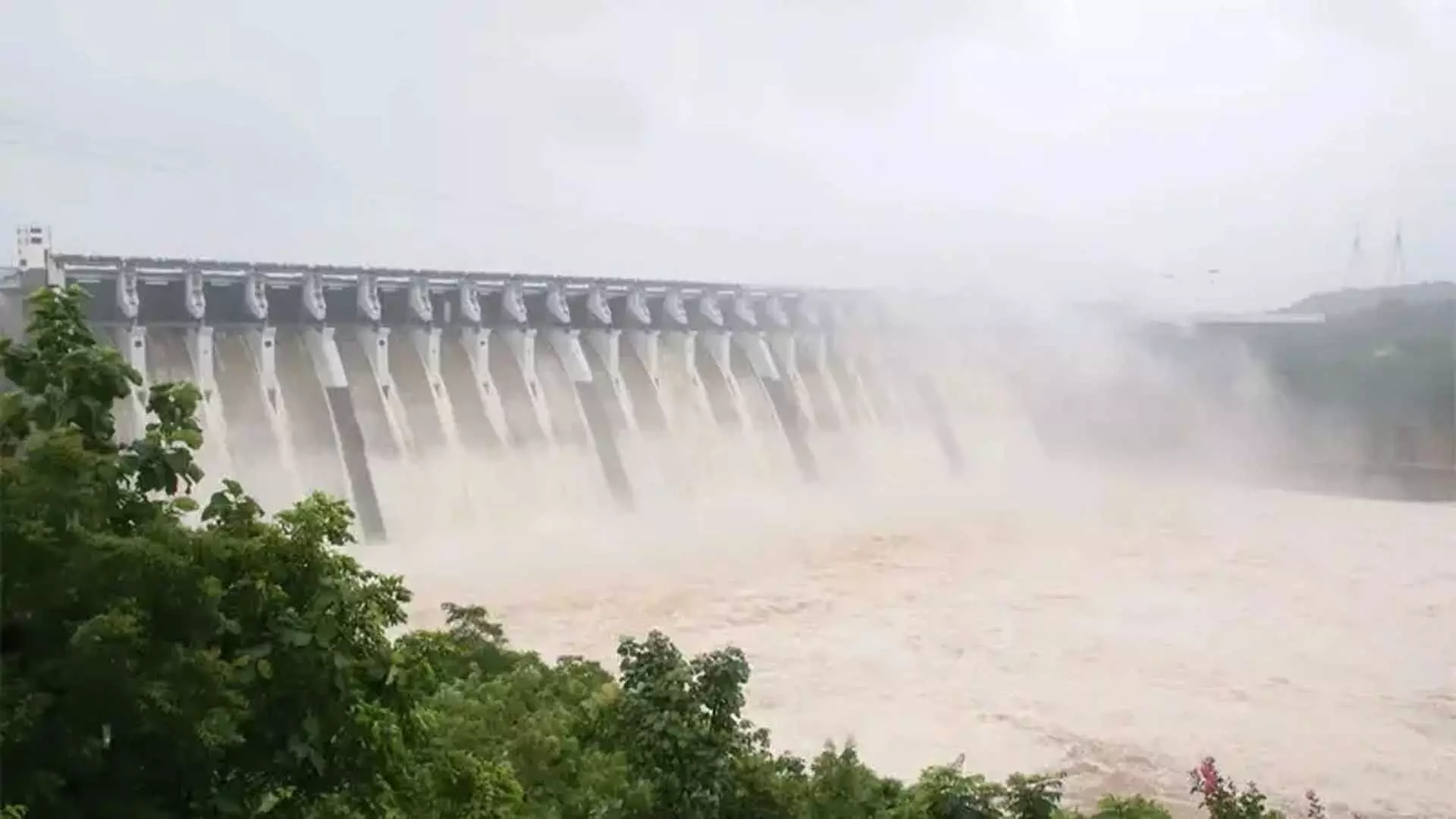 Vadodara के बांधों में जलस्तर खतरे के निशान के करीब, अधिकारी अलर्ट पर