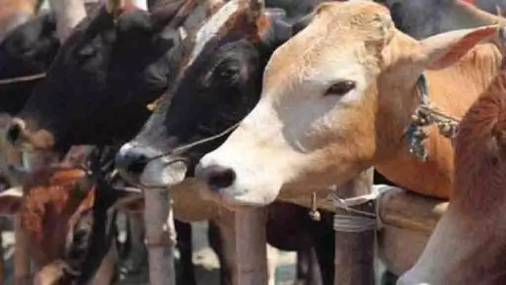 Gau Yatra: ईजेएच में निषेधाज्ञा