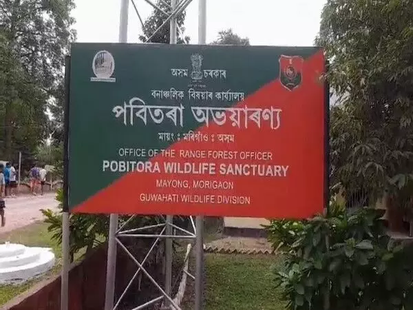 Pobitora वन्यजीव अभयारण्य के पास गैंडे के हमले में बाइक सवार की मौत