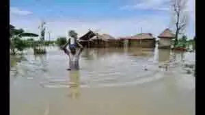 Bihar Flood:   7 बड़े बांध टूटने से घरों में घुसा पानी