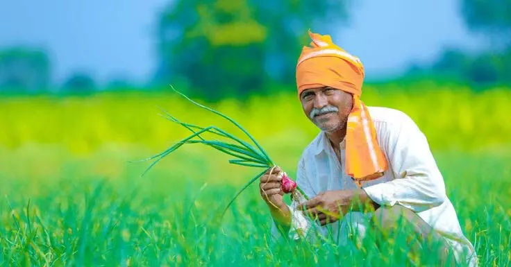 PM Kisan की 18वीं किस्त, कब आएगी? यहां जानें