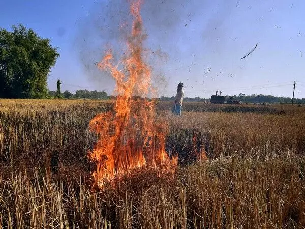 केंद्र की वायु गुणवत्ता पैनल ने पराली जलाने पर निगरानी के लिए Haryana, पंजाब में उड़न दस्ते तैनात किए