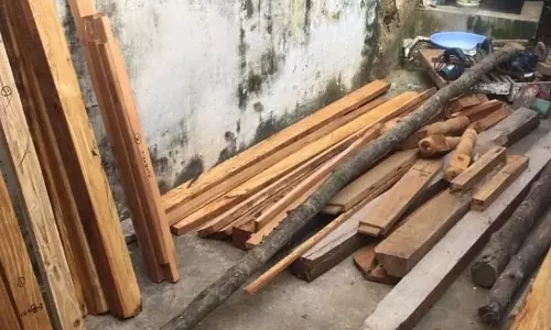 लकड़ी तस्करों से लिंक, बढ़ई की हुई गिरफ्तारी