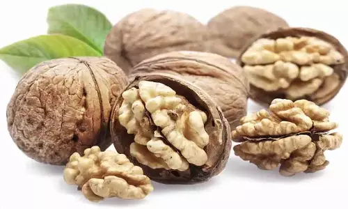 Walnut Chikki Recipe: सर्दियों में घर पर बनाएं अखरोट की चिक्की Walnut Chikki Recipe: सर्दियों में घर पर बनाएं अखरोट की चिक्की