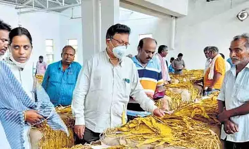 Andhra : आंध्र प्रदेश में तंबाकू की नीलामी सीमा से अधिक