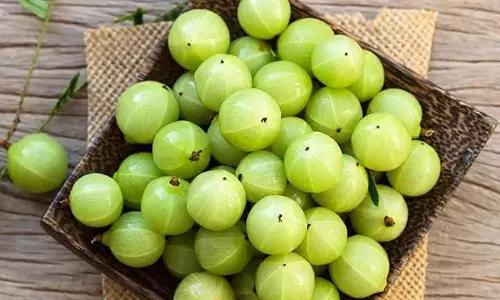 यह छोटा सा खट्टा फल गुणों का खजाना यह छोटा सा खट्टा फल गुणों का खजाना