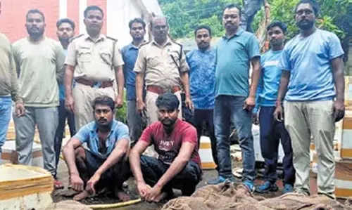 Odisha: एक टन वजन वाले 489 सॉफ्टशेल कछुओं के साथ दो लोग गिरफ्तार Odisha: एक टन वजन वाले 489 सॉफ्टशेल कछुओं के साथ दो लोग गिरफ्तार