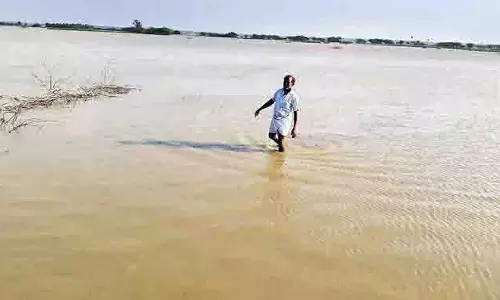 TN : पानी चोरी के मामलों में एफआईआर में देरी हो रही है, तिरुपुर के किसानों ने कहा TN : पानी चोरी के मामलों में एफआईआर में देरी हो रही है, तिरुपुर के किसानों ने कहा