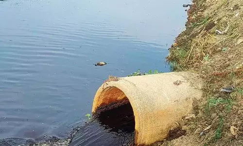 Budha Nullah के किनारे 40 से अधिक प्रदूषण बिंदु पाए गए