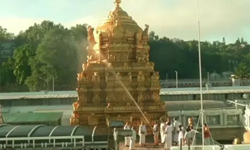 Tirumala मंदिर में वार्षिक ब्रह्मोत्सव के मद्देनजर पारंपरिक सफाई अनुष्ठान किया गया Tirumala मंदिर में वार्षिक ब्रह्मोत्सव के मद्देनजर पारंपरिक सफाई अनुष्ठान किया गया