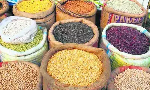 Himachal : विशेषज्ञों ने खाद्य अपव्यय को कम करने की आवश्यकता पर बल दिया