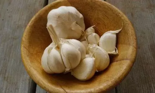 लहसुन हानिकारक भी हो सकता लहसुन हानिकारक भी हो सकता