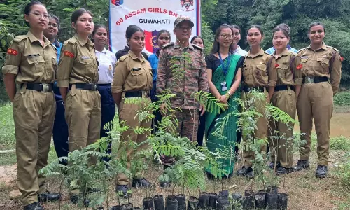 Assam : एनसीसी कैडेटों ने गुवाहाटी के 29 स्कूलों और कॉलेजों में 800 पौधे लगाए