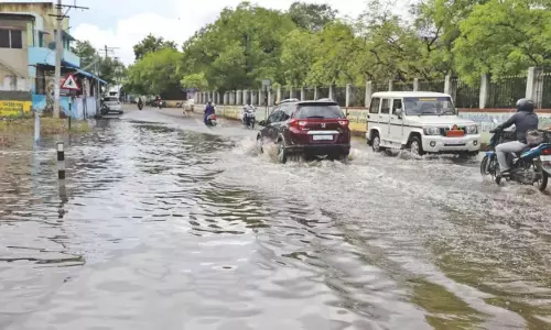 Thoothukudi, तिरुनेलवेली और तेनकासी में प्री-मॉनसून बारिश हुई Thoothukudi, तिरुनेलवेली और तेनकासी में प्री-मॉनसून बारिश हुई
