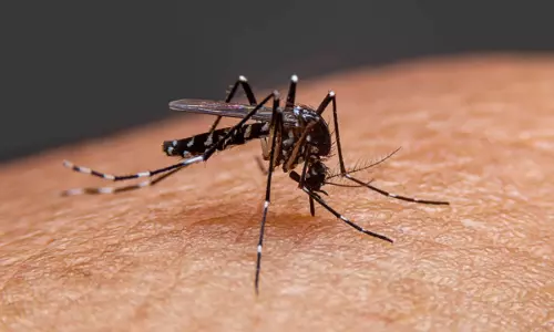 Malaria ने भारत में अपने पैर पसार लिए है: लक्षण और उपाय Malaria ने भारत में अपने पैर पसार लिए है: लक्षण और उपाय