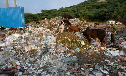 Panchkula में कचरा प्रबंधन मुख्य चुनावी मुद्दा