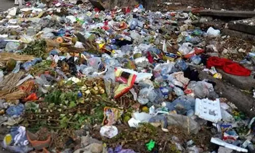 Chandigarh: स्वच्छता अभियान के दौरान 2.9 हजार किलोग्राम कचरा एकत्र किया