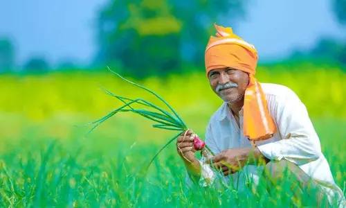 PM Kisan की 18वीं किस्त, कब आएगी? यहां जानें PM Kisan की 18वीं किस्त, कब आएगी? यहां जानें