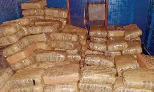 Khammam पुलिस ने जब्त गांजा का निस्तारण किया Khammam पुलिस ने जब्त गांजा का निस्तारण किया