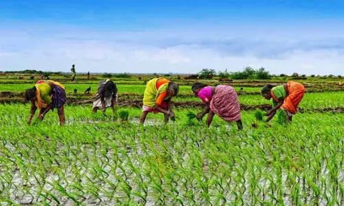 India: कृषि उपकरणों पर सब्सिडी के लिए आवेदन की अंतिम तिथि बढ़ी India: कृषि उपकरणों पर सब्सिडी के लिए आवेदन की अंतिम तिथि बढ़ी