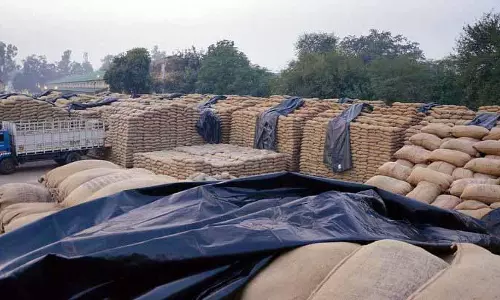 Patiala: जिले में आज से धान की खरीद शुरू