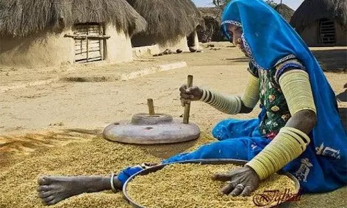 Rajasthan: दिवाली से पहले भजनलाल सरकार ने दी महिलाओं को बड़ी खुशखबरी