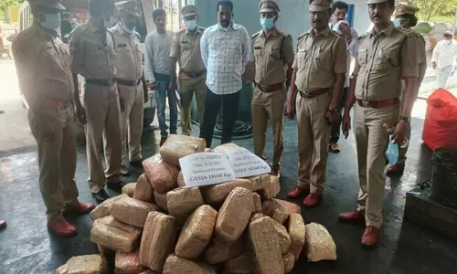 Telangana: आबकारी अधिकारियों ने 2.80 करोड़ रुपये मूल्य का 1,120 किलोग्राम गांजा जलाया Telangana: आबकारी अधिकारियों ने 2.80 करोड़ रुपये मूल्य का 1,120 किलोग्राम गांजा जलाया
