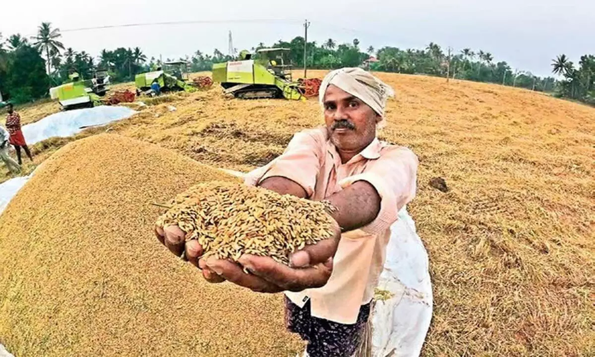 Odisha: ओडिशा धान खरीद को सुचारू बनाने के लिए 2,542 नए PACS स्थापित करेगा