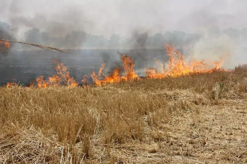 वायु गुणवत्ता पैनल ने पराली जलाने पर रोक लगाने के लिए Punjab, Haryana  में उड़न दस्ते तैनात किए