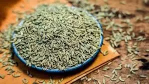 Drinking green seed: हरे बीज का पानी पीने से पेट फूलने की समस्या भी हो जाएगी दूर