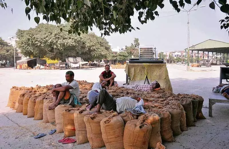 Punjab: आढ़ती हड़ताल पर, पहले दिन धान की खरीद नहीं