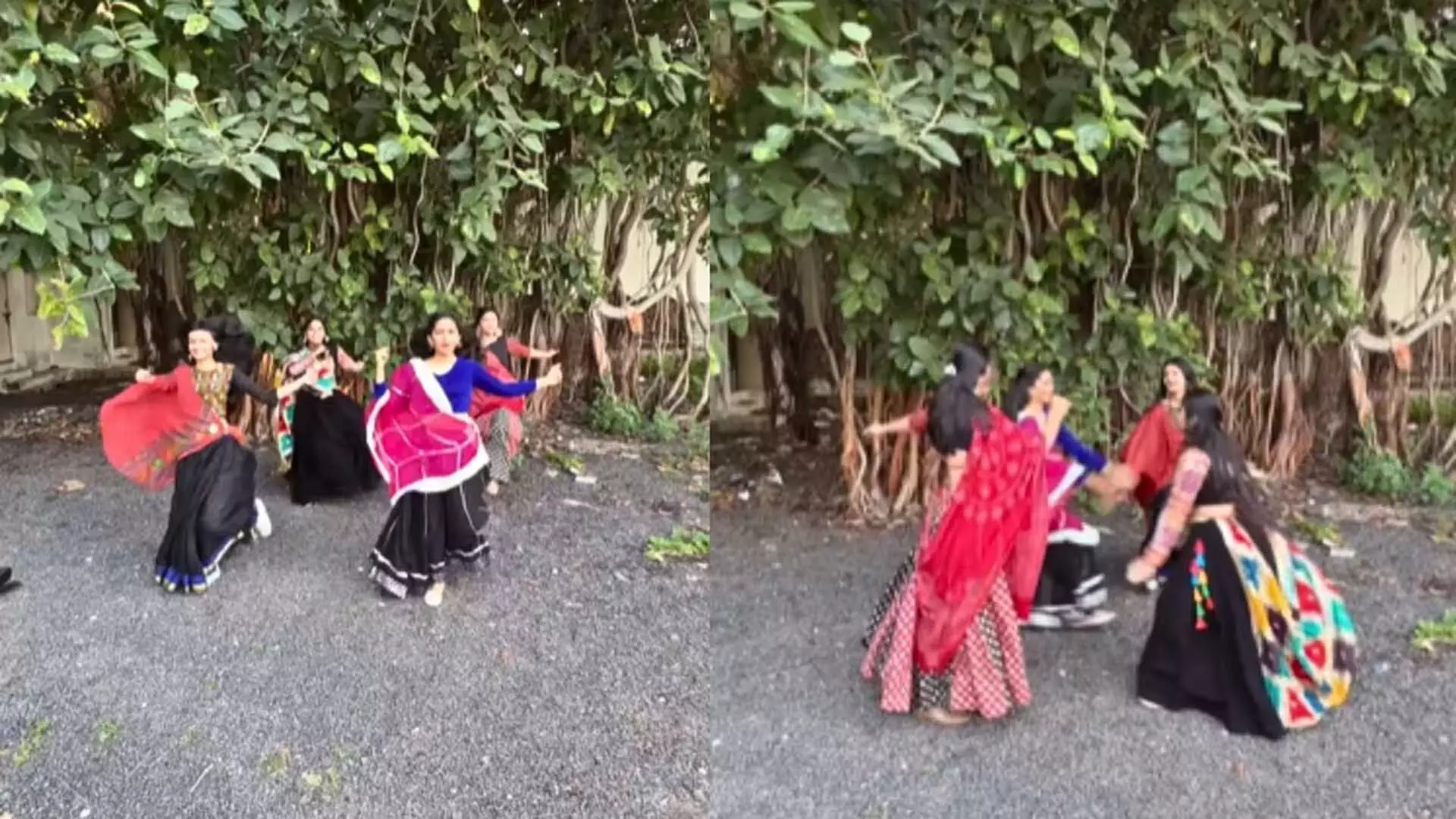 बड़े पेड़ के नीचे गरबा करती 4 लड़कियों का VIDEO हुआ वायरल