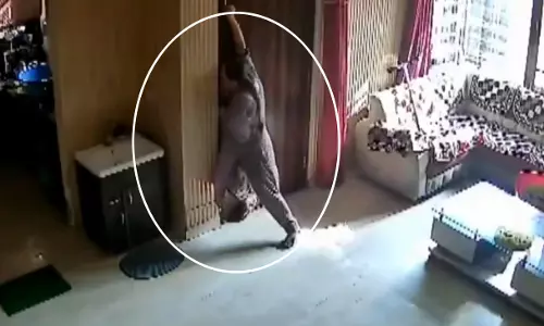 तीन लुटेरों से अकेले भिड़ी महिला, सामने आया VIDEO