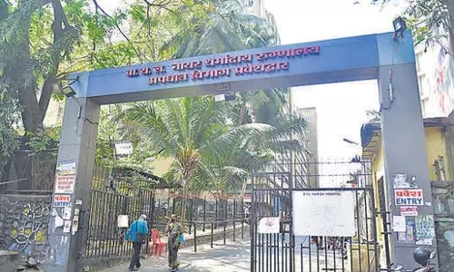Mumbai: नायर अस्पताल में यौन दुराचार का मामला कैसे उजागर हुआ Mumbai: नायर अस्पताल में यौन दुराचार का मामला कैसे उजागर हुआ