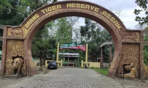 Assam : काजीरंगा और बुरहाचापोरी के साथ 180 किलोमीटर का वन्यजीव गलियारा बनाने के लिए