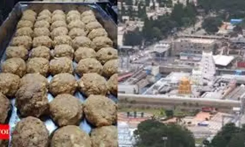Tirupati laddu ghee dispute: टीएन फर्म के एमडी ने आंध्र प्रदेश उच्च न्यायालय का रुख किया