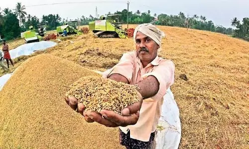 ओडिशा धान खरीद को सुचारू बनाने के लिए 2,542 नए PACS स्थापित करेगा