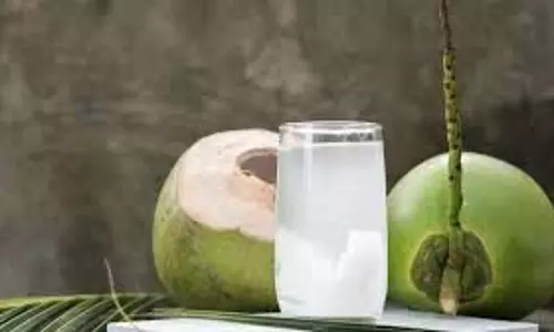 coconut water: किन लोगों को नहीं पीना चाहिए ज्यादा नारियल का पानी