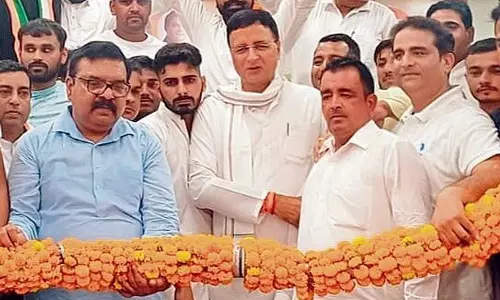 Haryana : विरासत की परीक्षा सुरजेवाला ने बेटे के लिए जोरदार प्रचार किया
