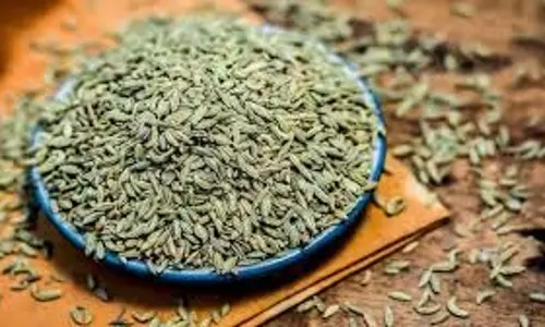 Drinking green seed: हरे बीज का पानी पीने से पेट फूलने की समस्या भी हो जाएगी दूर
